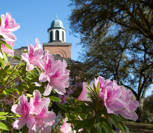 Bell Tower with azaleas